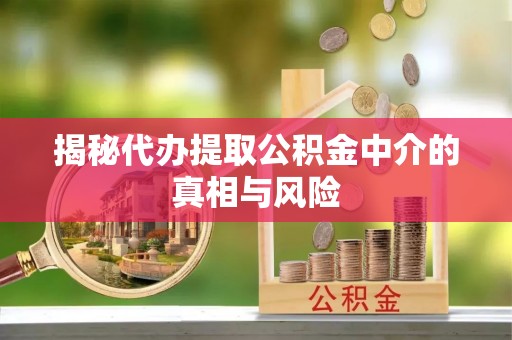 浠水揭秘代办提取公积金中介的真相与风险