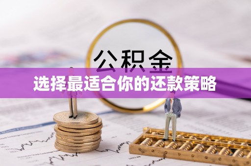 浠水选择最适合你的还款策略