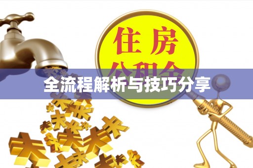 浠水全流程解析与技巧分享
